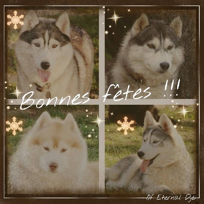 Of Eternal Djei - Bonne année 2016 !!!